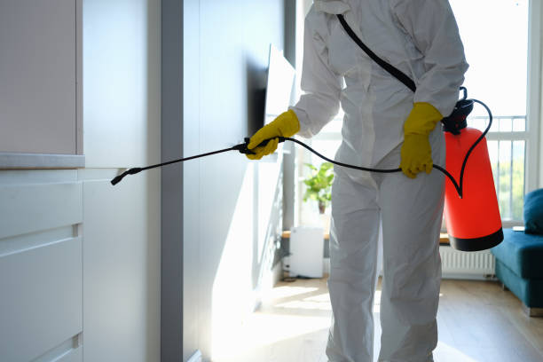 Best Residential Mold Removal  in Naval Academy, MD