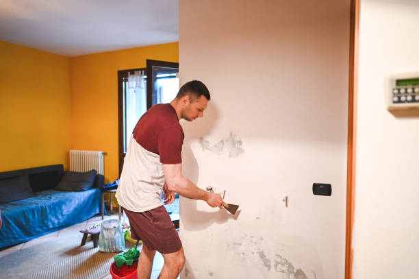 Best Office Mold Removal Services  in Naval Academy, MD